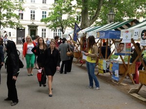 - photo 12 300x225 - photo (12)