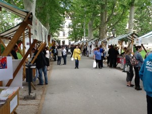 - photo 13 300x225 - photo (13)