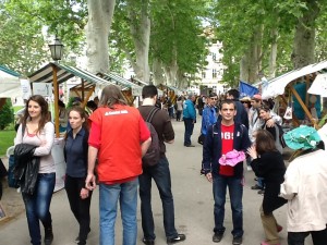 - photo 14 300x225 - photo (14)